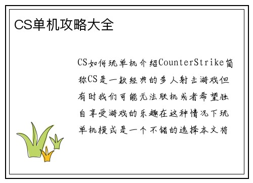 CS单机攻略大全